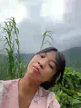 Snapshot of Phayphay77 chatting on October 1, 2025, 8:52 am Phayphay77 online show from October 1, 2025, 8:52 am