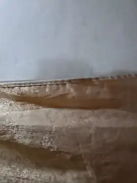 darryl hugecok online show from March 15, 2026, 7:15 am