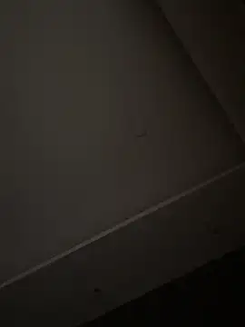 ALANNFERRER online show from November 1, 2025, 10:42 am