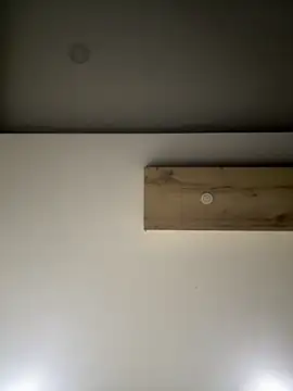 ALANNFERRER online show from September 10, 2025, 9:30 am