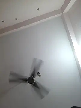 Snapshot of 00USER chatting on October 29, 2025, 1:54 pm 00USER online show from October 29, 2025, 1:54 pm