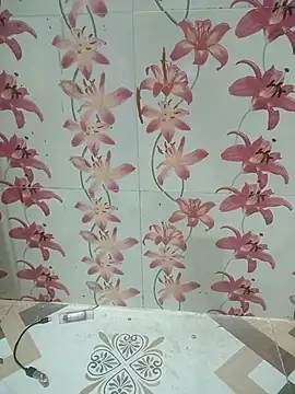 Snapshot of Meenaksi-singh chatting on October 1, 2025, 7:40 pm Meenaksi-singh online show from October 1, 2025, 7:40 pm