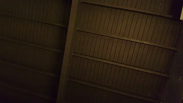 lilyth bloom online show from December 15, 2025, 12:44 pm