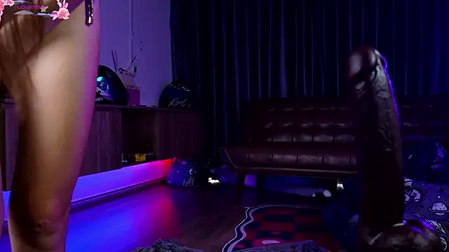 Snapshot of laxyflaxyy chatting on December 4, 2025, 1:59 am laxyflaxyy online show from December 4, 2025, 1:59 am