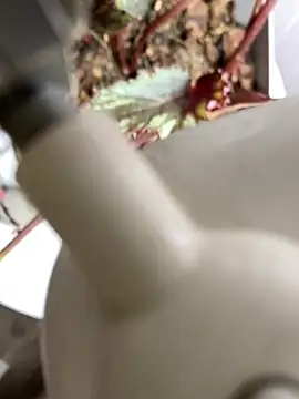 Jonny Agatha online show from March 3, 2026, 12:34 pm