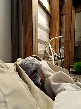 Snapshot of ShawnandDani7074 chatting on February 17, 2026, 11:35 pm ShawnandDani7074 online show from February 17, 2026, 11:35 pm