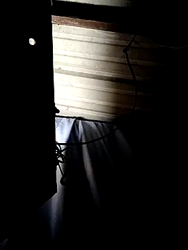 Snapshot of ShawnandDani7074 chatting on April 14, 2026, 7:46 am ShawnandDani7074 online show from April 14, 2026, 7:46 am