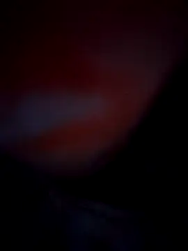 Exotic-bhabhi online show from October 10, 2025, 8:53 pm