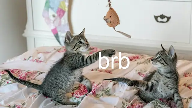 Snapshot of Pink_girl0n chatting on October 26, 2025, 3:07 am Pink girl0n online show from October 26, 2025, 3:07 am