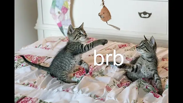 Snapshot of Pink_girl0n chatting on October 19, 2025, 8:44 pm Pink girl0n online show from October 19, 2025, 8:44 pm