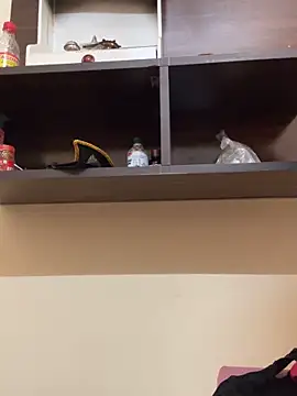 Snapshot of modelnishu chatting on April 9, 2026, 6:19 am modelnishu online show from April 9, 2026, 6:19 am