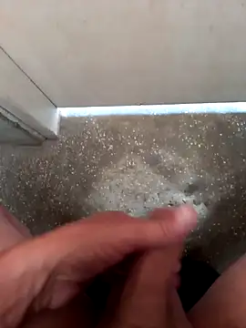 fepintudo online show from November 29, 2025, 8:09 pm