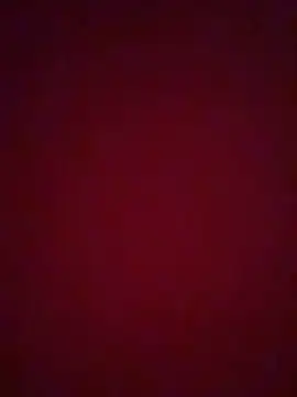 Snapshot of NIQUEILLA8 chatting on May 31, 2026, 12:49 am NIQUEILLA8 online show from May 31, 2026, 12:49 am