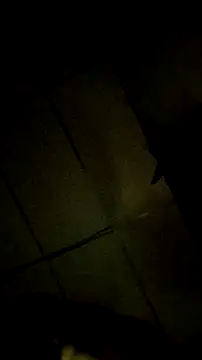 Snapshot of Bosssweet22cm chatting on March 18, 2026, 12:14 am Bosssweet22cm online show from March 18, 2026, 12:14 am