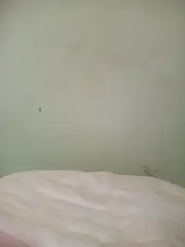 mytran16xh online show from April 20, 2026, 11:06 pm