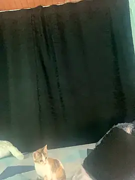 EVAH LEE  online show from September 23, 2025, 1:12 am