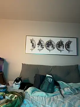 Snapshot of petalsexy chatting on November 17, 2025, 3:38 pm petalsexy online show from November 17, 2025, 3:38 pm