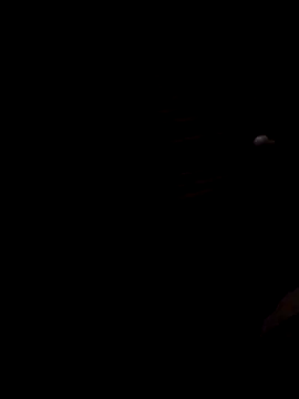 Snapshot of Lujor chatting on November 28, 2025, 2:23 am Lujor online show from November 28, 2025, 2:23 am