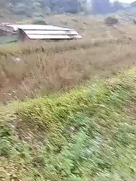 Snapshot of Phuongphuongg chatting on October 20, 2025, 2:24 am Phuongphuongg online show from October 20, 2025, 2:24 am