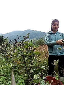 Snapshot of Phuongphuongg chatting on October 28, 2025, 2:56 am Phuongphuongg online show from October 28, 2025, 2:56 am