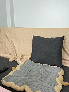 Snapshot of hoanghoangli chatting on February 9, 2026, 12:19 am hoanghoangli online show from February 9, 2026, 12:19 am