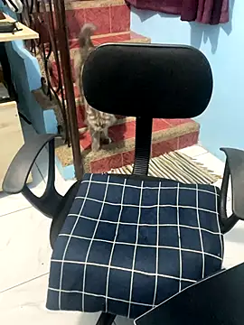 Snapshot of ieat_monsters chatting on October 6, 2025, 9:21 am ieat monsters online show from October 6, 2025, 9:21 am