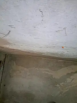 Snapshot of Sgaf39 chatting on September 27, 2025, 10:43 am Sgaf39 online show from September 27, 2025, 10:43 am