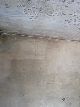 Snapshot of Sgaf39 chatting on September 26, 2025, 9:16 am Sgaf39 online show from September 26, 2025, 9:16 am