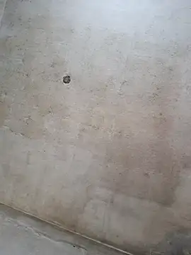 Snapshot of Sgaf39 chatting on September 14, 2025, 11:43 am Sgaf39 online show from September 14, 2025, 11:43 am