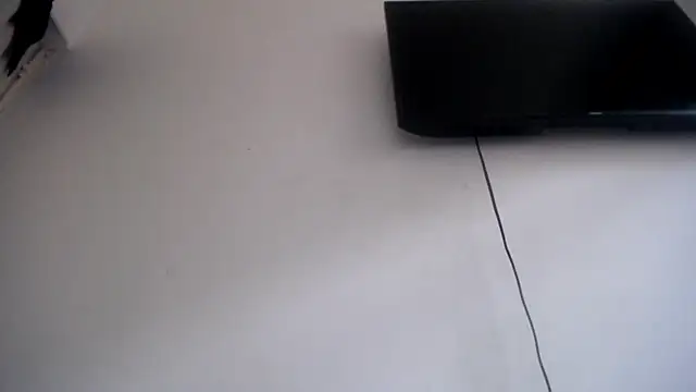 Foxy Lovex online show from April 7, 2026, 10:11 pm