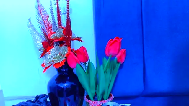 Snapshot of AmbarSmit chatting on April 16, 2026, 11:07 pm AmbarSmit online show from April 16, 2026, 11:07 pm