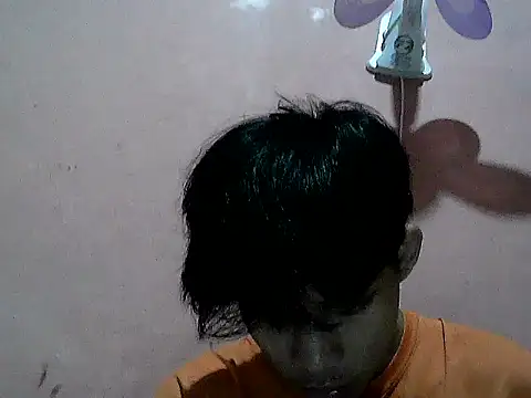 Kyoshi 19 online show from November 8, 2025, 11:47 am