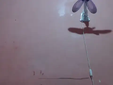 Kyoshi 19 online show from September 26, 2025, 12:34 pm