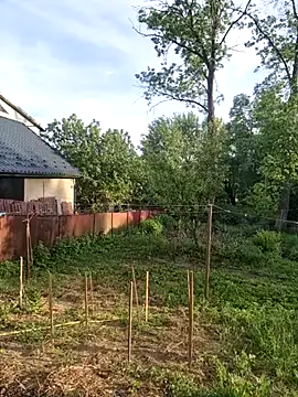 Snapshot of Alekseycv11 chatting on May 25, 2026, 4:38 pm Alekseycv11 online show from May 25, 2026, 4:38 pm