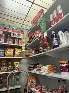 Sallem Pink online show from February 21, 2026, 11:23 am