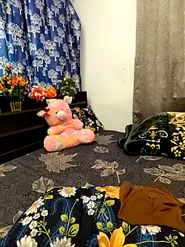 priya 26 online show from February 13, 2026, 3:06 am