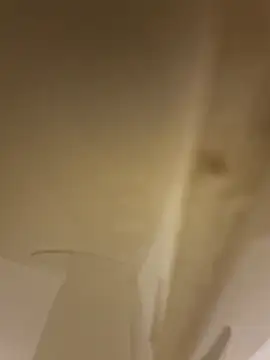 solofe19 online show from November 5, 2025, 4:37 am