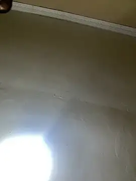 THICKBUNNYCHICKxxx online show from December 14, 2025, 6:46 pm