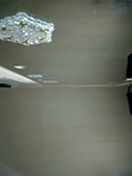 N i k o l a u online show from April 8, 2026, 3:57 pm