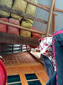 Snapshot of TinTin321 chatting on October 24, 2025, 2:32 am TinTin321 online show from October 24, 2025, 2:32 am