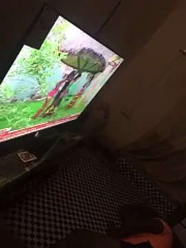 candospiriy online show from February 23, 2026, 3:52 am