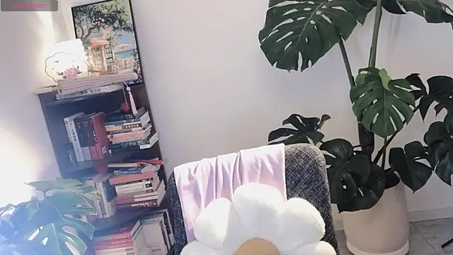 Snapshot of Emmaq996 chatting on February 10, 2026, 1:48 am Emmaq996 online show from February 10, 2026, 1:48 am