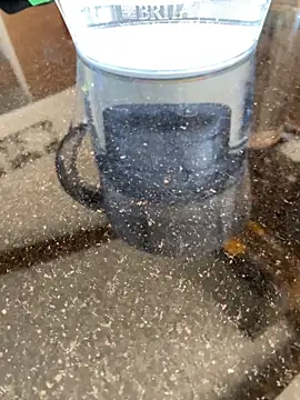 darkdecide online show from October 30, 2025, 7:39 am