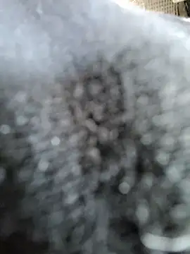 Snapshot of giova17cm chatting on June 19, 2026, 12:55 pm giova17cm online show from June 19, 2026, 12:55 pm