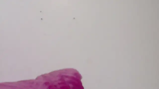 habdiela online show from February 18, 2026, 3:04 am