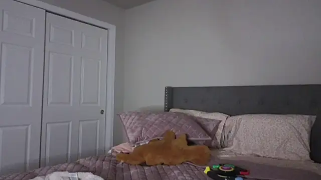 bambifarrina online show from October 2, 2025, 1:53 am