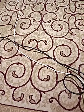 Snapshot of bullut06 chatting on November 9, 2025, 2:59 am bullut06 online show from November 9, 2025, 2:59 am