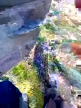 bullut06 online show from March 17, 2026, 12:41 pm