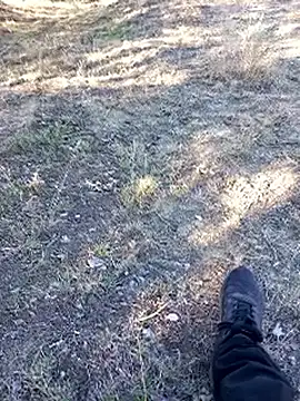 Snapshot of bullut06 chatting on September 23, 2025, 6:42 am bullut06 online show from September 23, 2025, 6:42 am