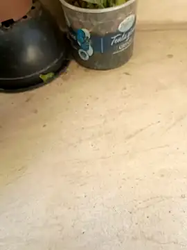 Snapshot of Jogandor777 chatting on September 11, 2025, 1:33 pm Jogandor777 online show from September 11, 2025, 1:33 pm